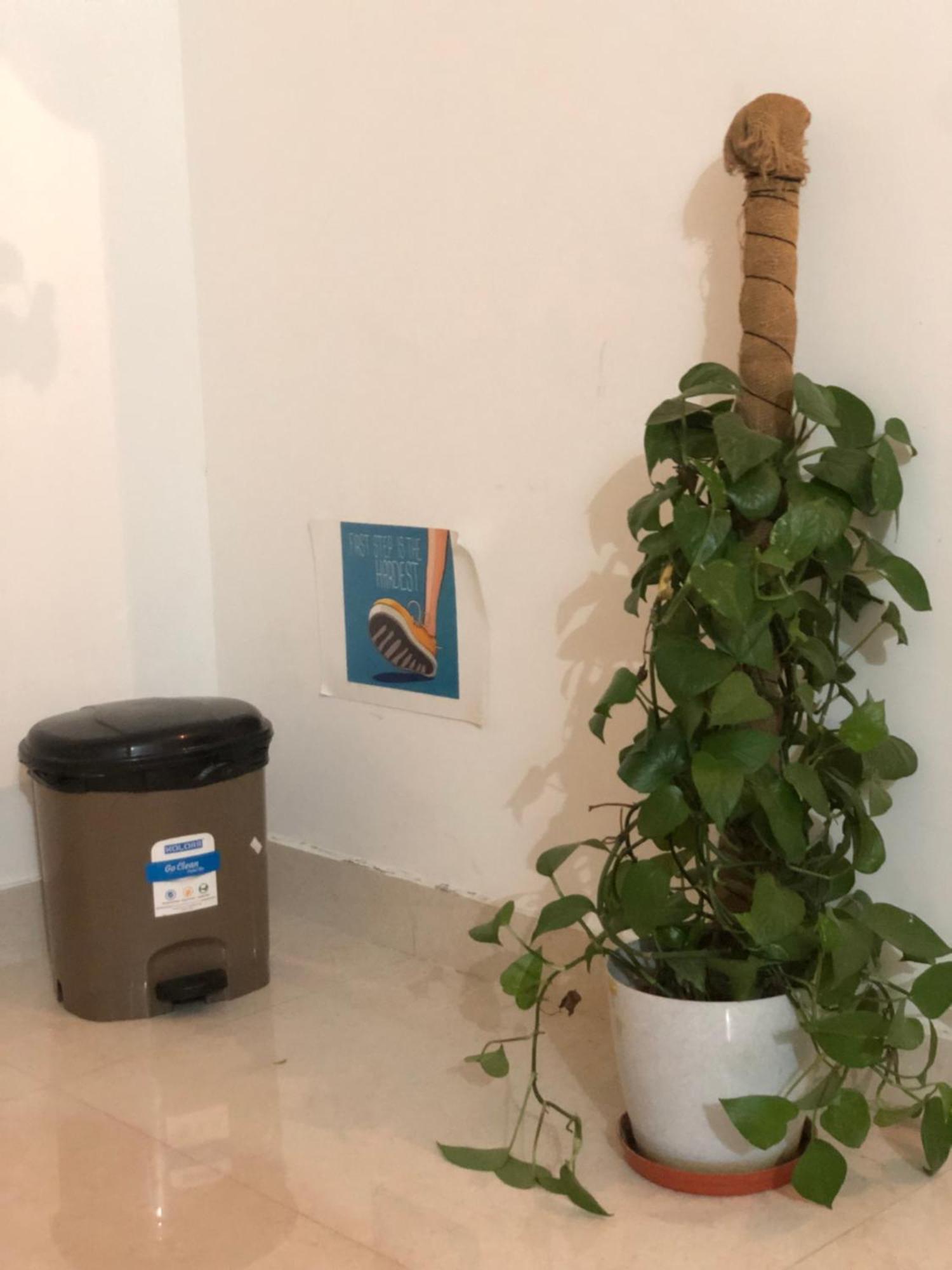 شقة Sapthagiri Nest Chikmagalūr المظهر الخارجي الصورة